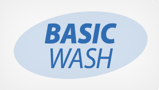 Basic Wash
